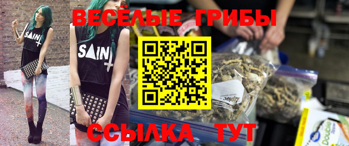 Кузнецк  Галлюциногенные грибы MAGIC MUSHROOMS  Вход с VPN 