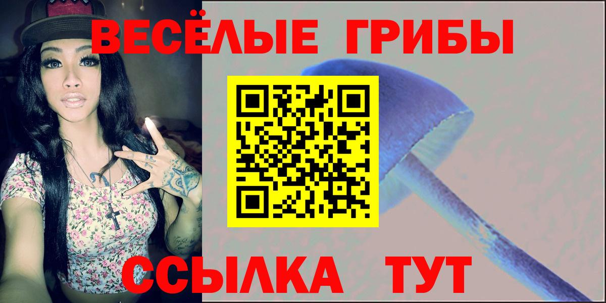 Псилоцибиновые грибы ЛСД Кузнецк